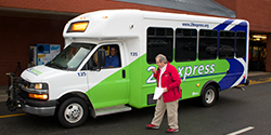 29 Express Bus
