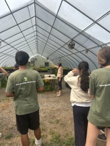 Bellair Farm greenhouse